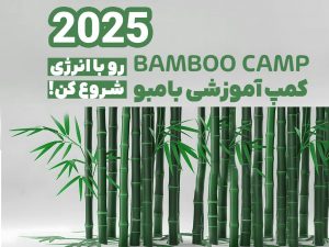 Bamboo
